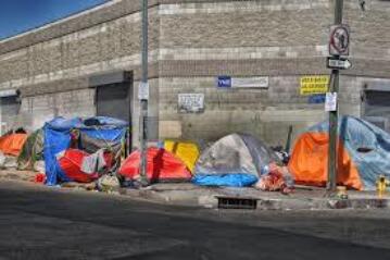 Social Inequality in a Cross-National Perspective: The Case of the Working Homeless