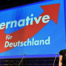 The Paradox of Germany's AfD Party: A Case of Populism in a Stable Society and Thriving Economy