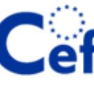 The European Union Between Crises to be Faced and Institutions to be Reformed