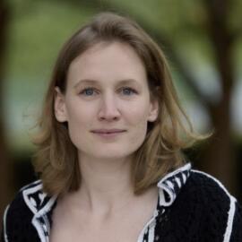 Democratic Resilience in Times of Political Polarization: The Role of Political Parties, Civil Society, and the Media