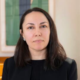 Citizenship Constellations During Crisis of Sovereignty: Lived Experiences of Occupation in Ukraine