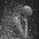 The Rebirth of Tragedy