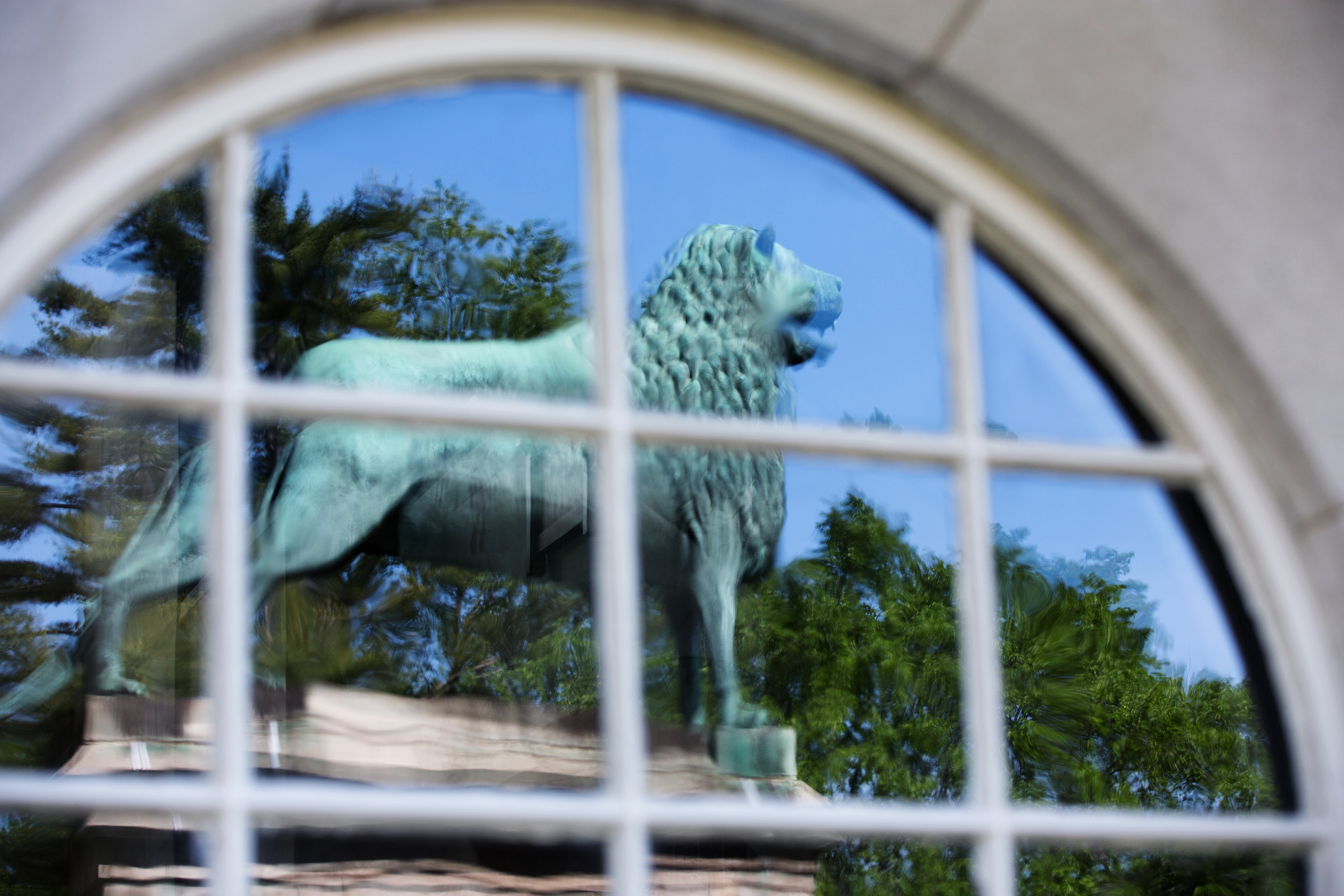 Brunswick Lion Reflected in Window